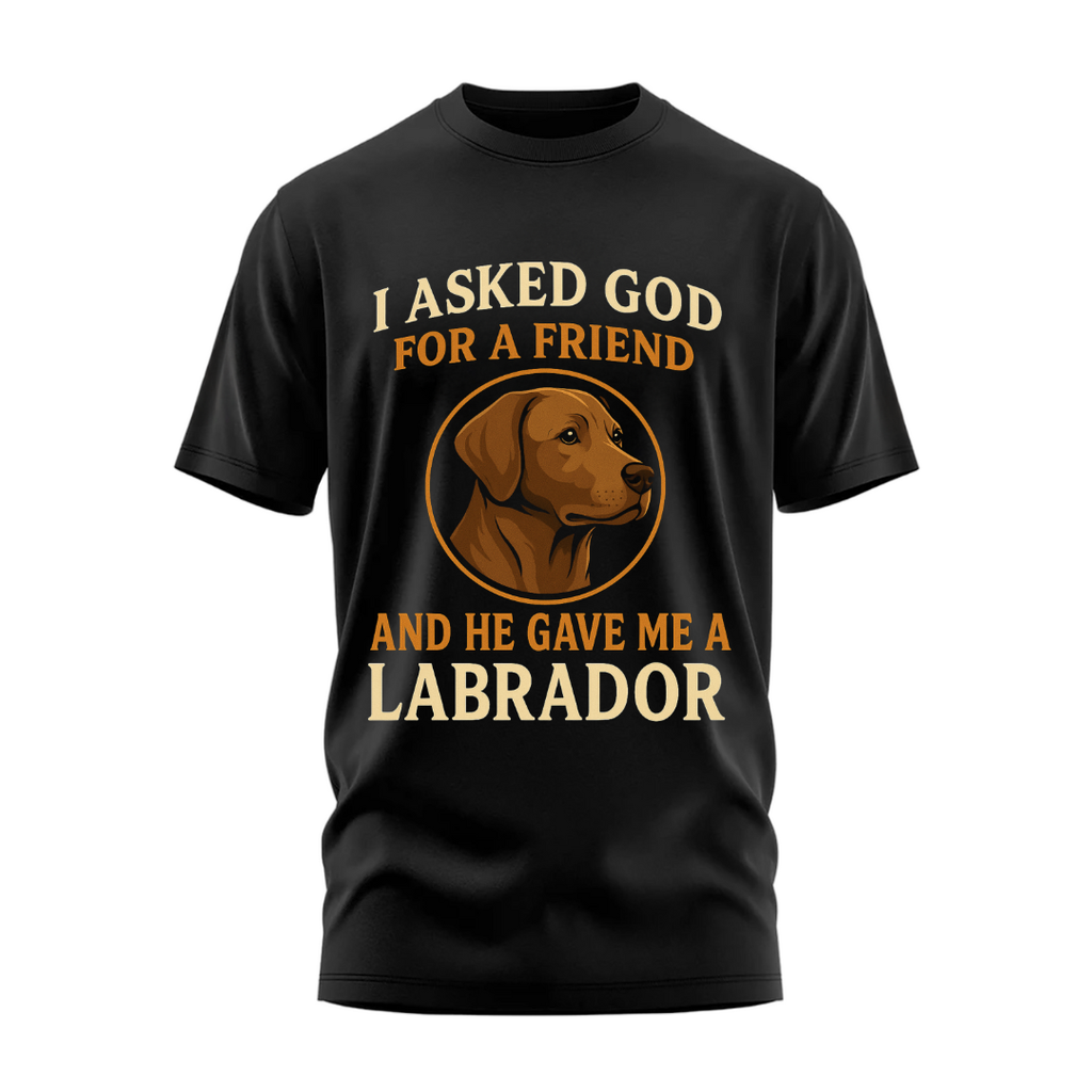 My Friend Labrador